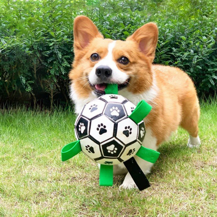 Outdoor Football Interactive Toy