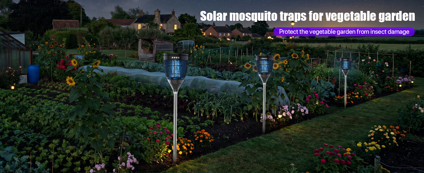 vegetable garden