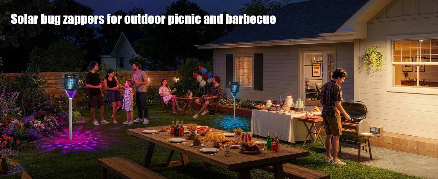 outdoor picnic and barbecue