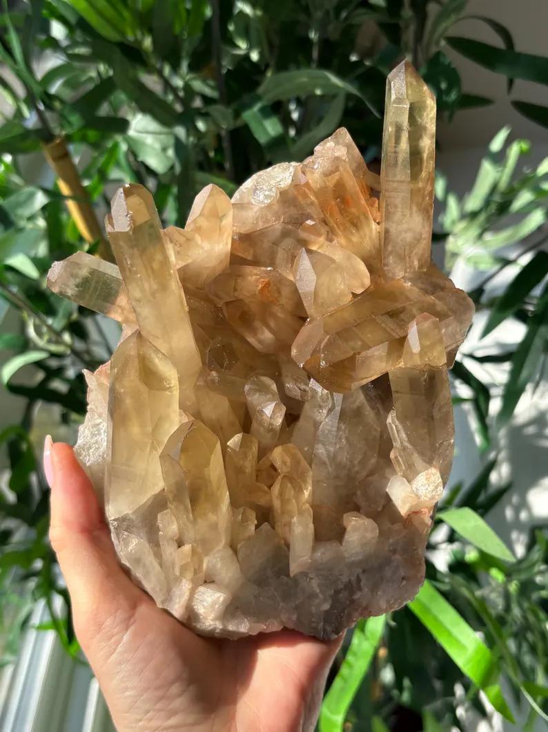 Citrine Quartz Cluster, 19 × 10 × 9 cm, 1.22kg
