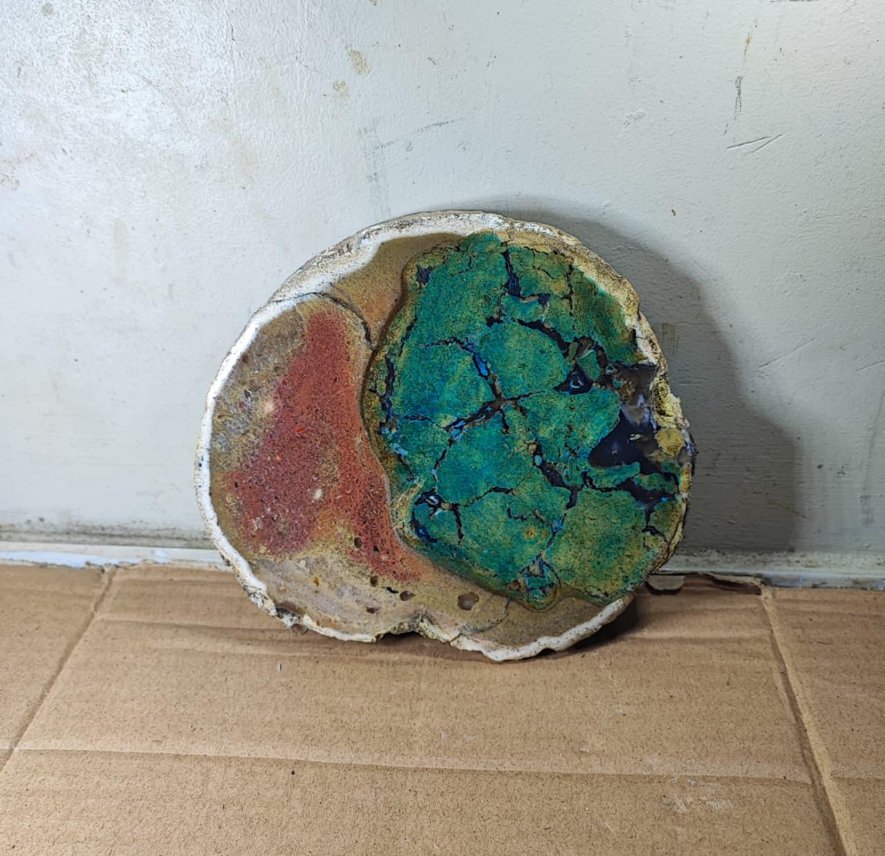 Green Agatized Wood Slab, 990g