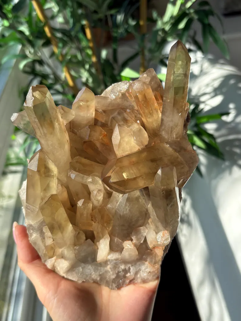 Citrine Quartz Cluster, 19 × 10 × 9 cm, 1.22kg