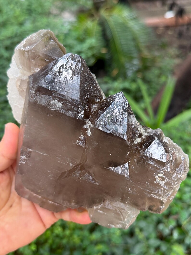 Shining Double Terminated Record-keeper Smoky Quartz/Energy Crystal/Tangerine Quartz/Yellow Stone/Special gift-957 g