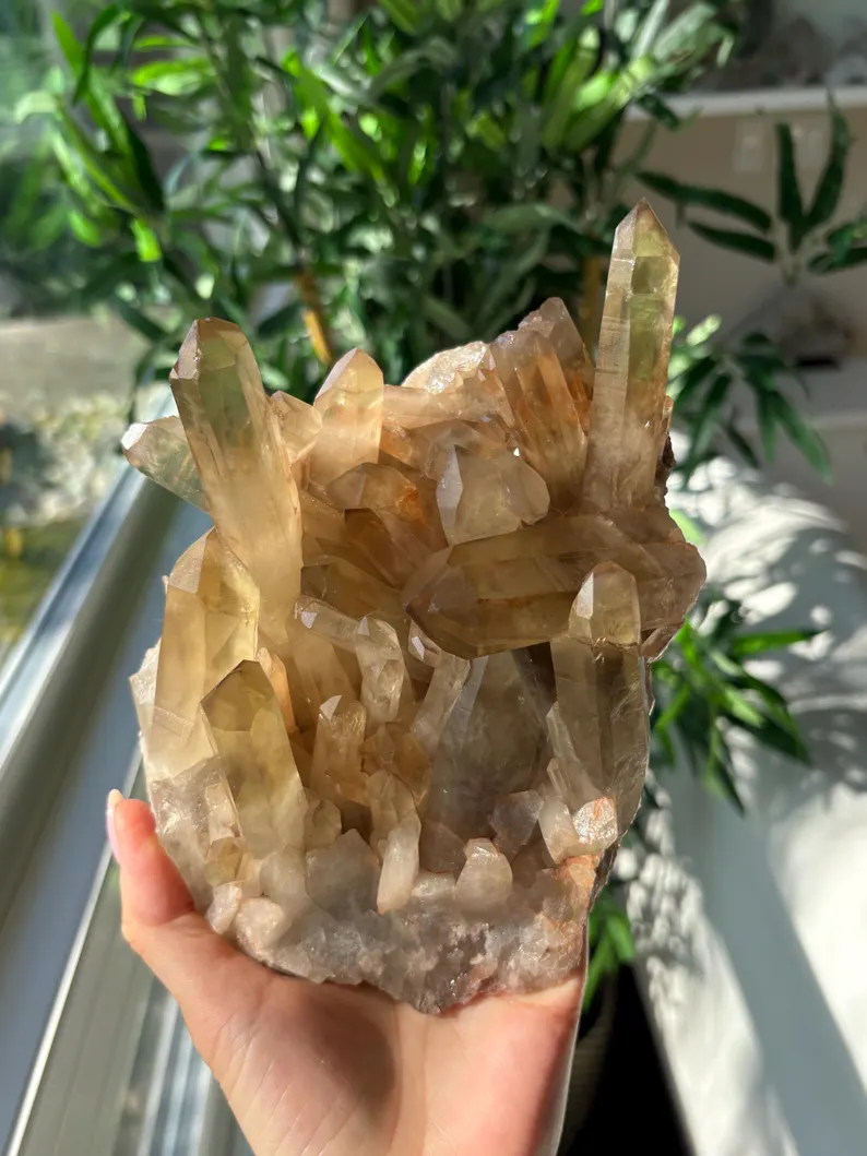 Citrine Quartz Cluster, 19 × 10 × 9 cm, 1.22kg