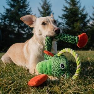 plush dog toys stuffed soft puppy pet chew toy interactive cuddly