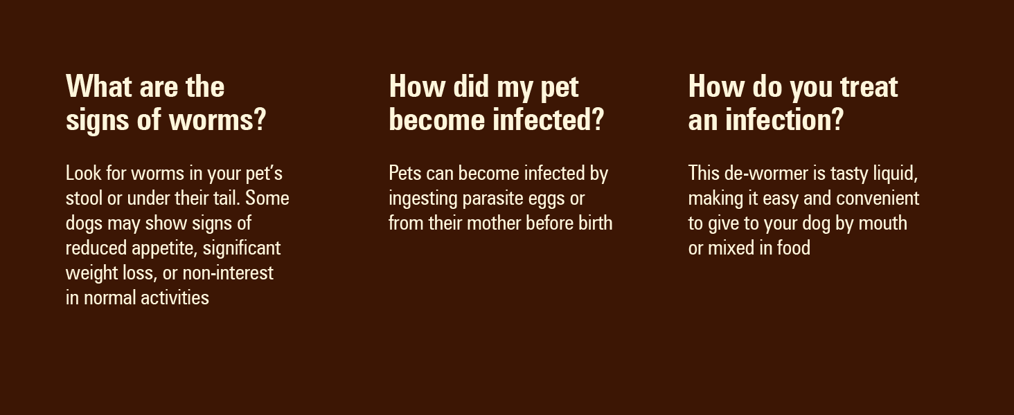 treat worm infections for dogs