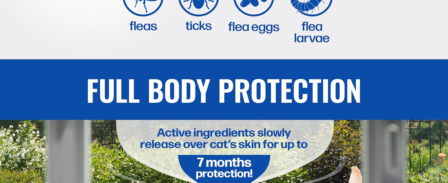 Pro Full Body Protection