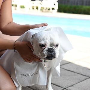 Dry and Bye, Towels, Disposable, Biodegradable, Natural, Saves Money, Hygienic