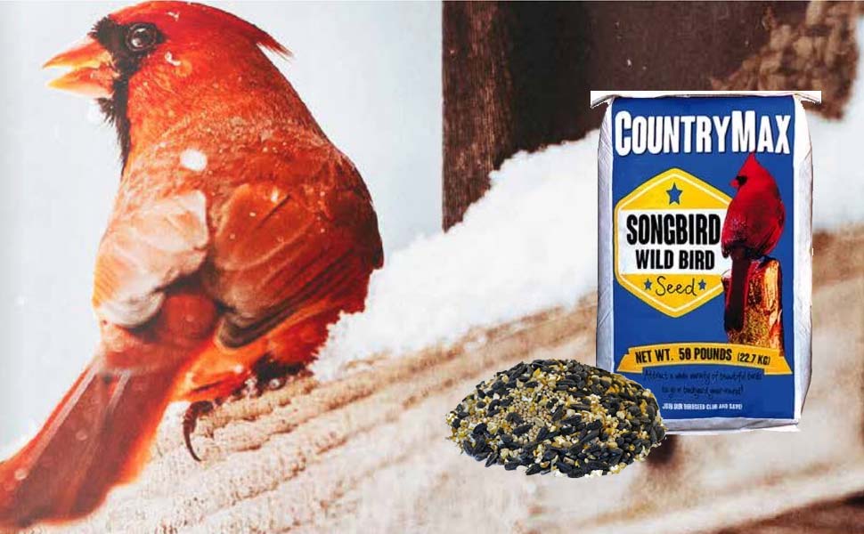 songibrd seed for cardinals