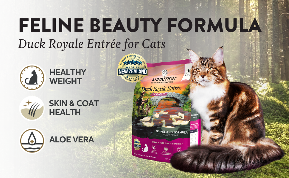 Addiction Grain-Free Duck Royale Dry Cat Food, Cage-Free Duck for Skin, Coat &amp; Weight Health