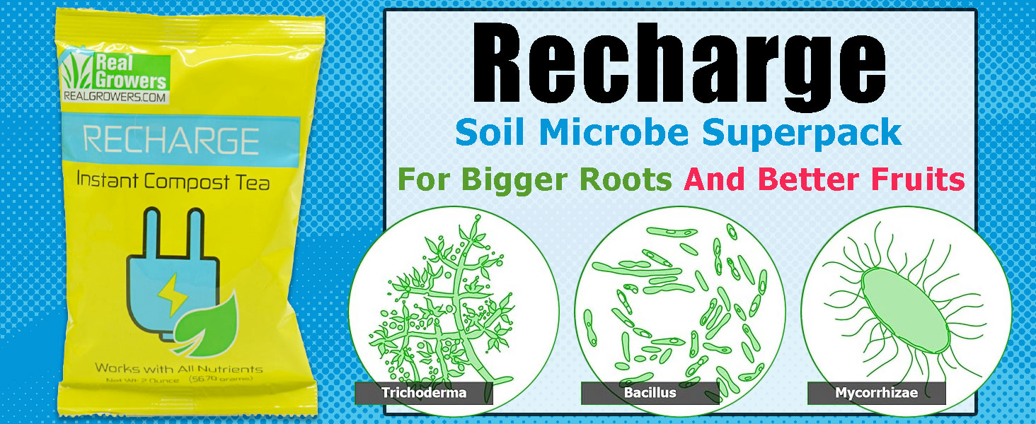 Real Growers Recharge Soil Microbe Bacillus Trichoderma Mycorrhizae