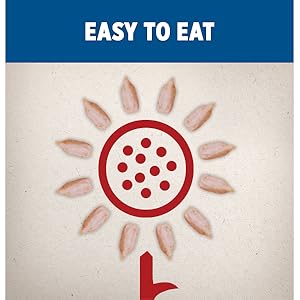 DAVIDs pepita seeds and sunflower seed kernels are filled with energizing protein.]