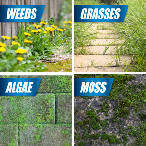 Kills weeds grasses algae moss