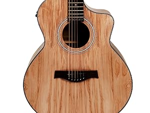 Acoustica A06