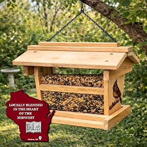 woodpecker feeder
