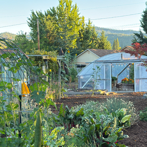 Part of an integrated pest management (IPM) approach