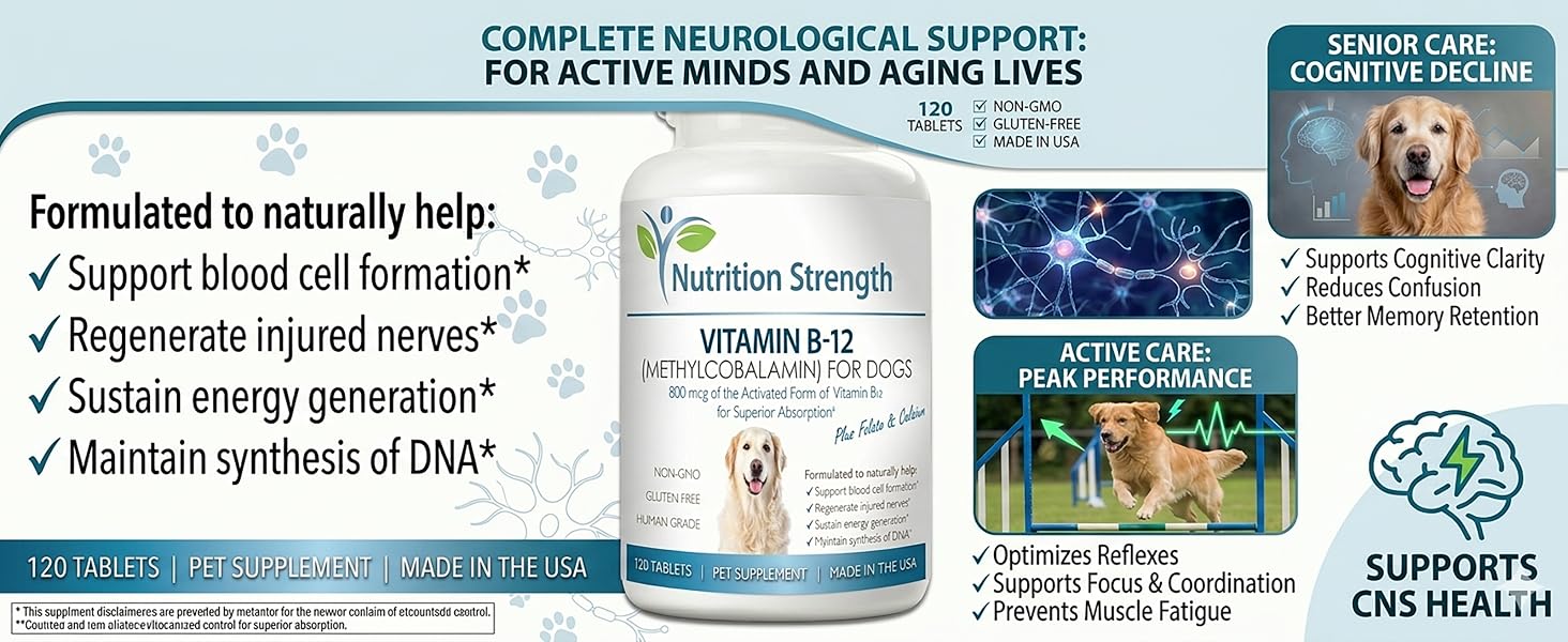 Complete Neurological Support for Active Canine Minds and Aging Lives
