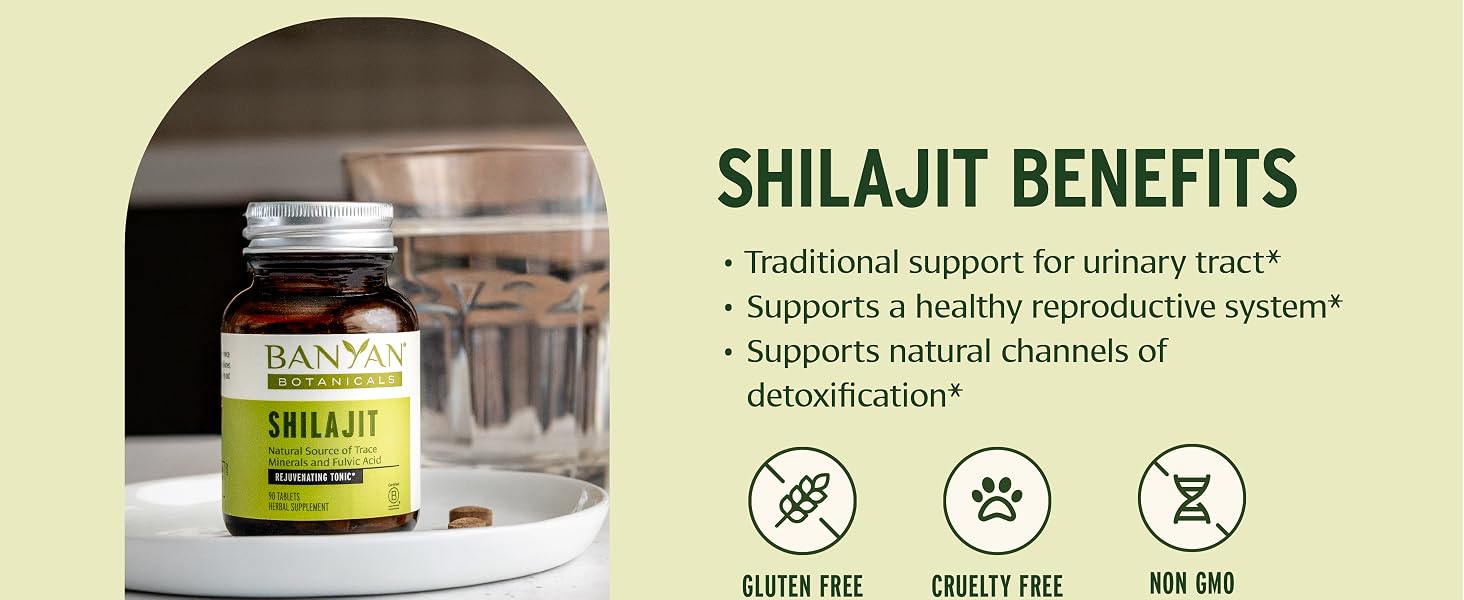 Shilajit, mineral pitch for healthy aging