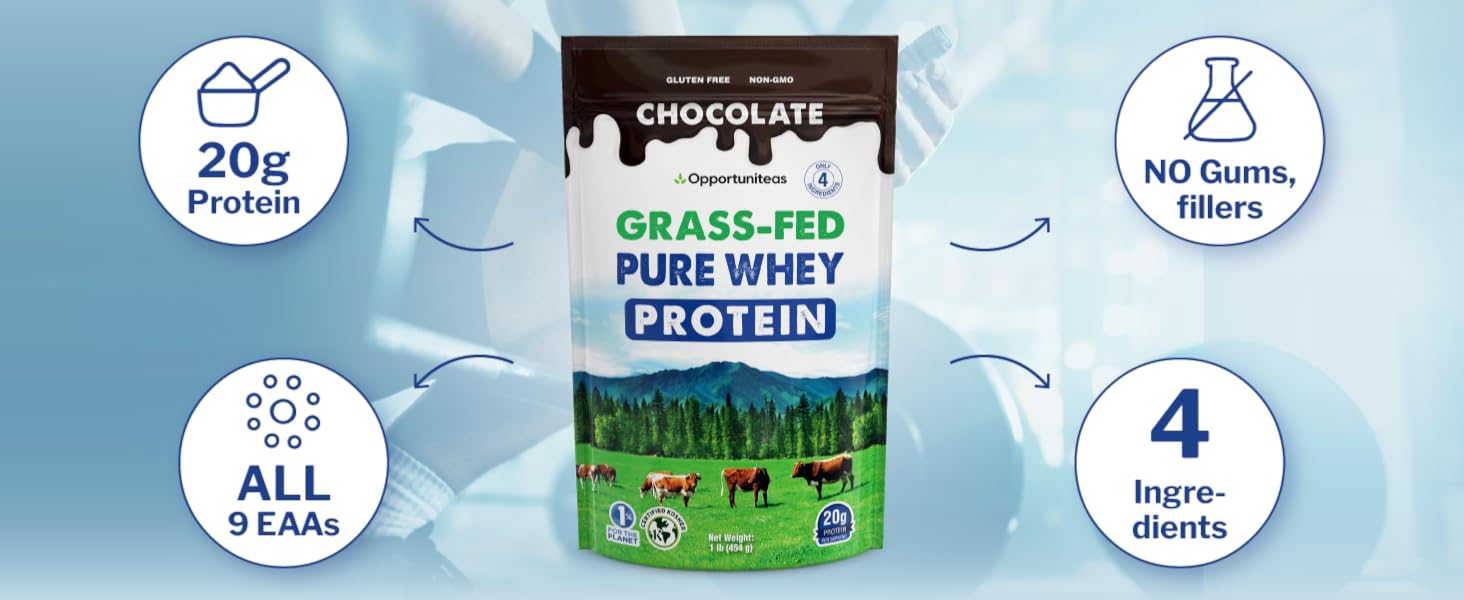 Chocolate WHey protein