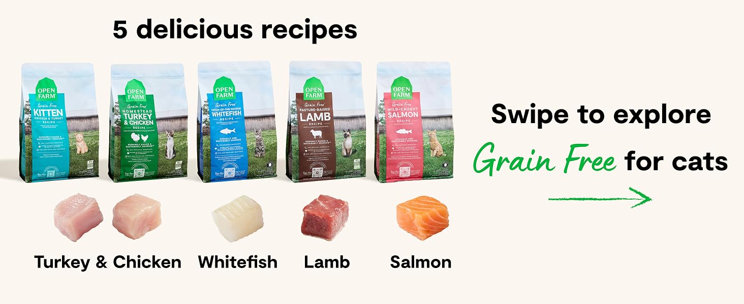 Grain Free Dry Cat Food with 5 Delicious Recipes