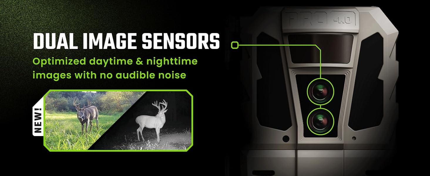 Dual Image Sensors