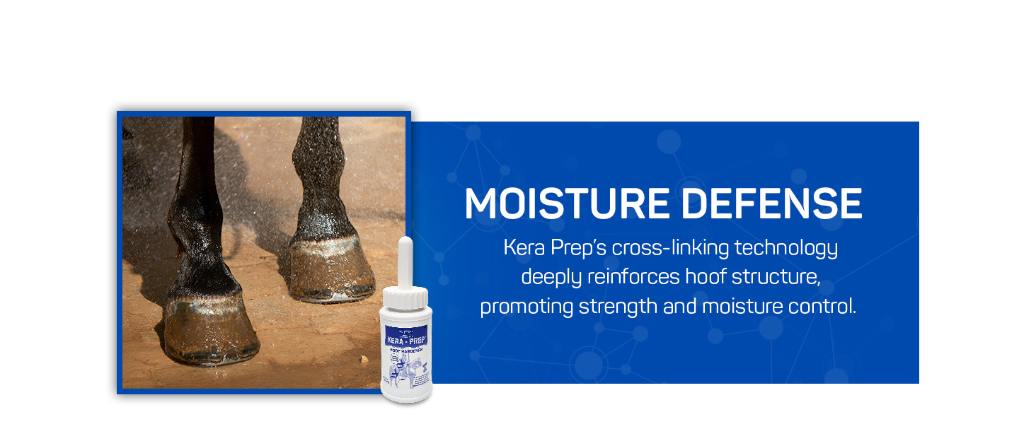horse cream horse stall accessories horse bathing supplies horse wound care hoof oil for horses