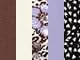 Comfort Choice Full Coverage Stretch Cotton Brief 5 Pack