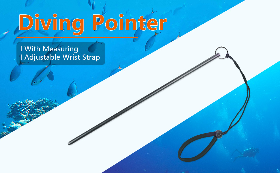 scuba Diving Accessories