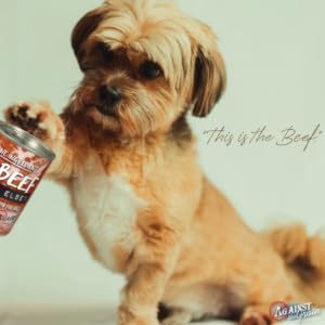 beef dog food