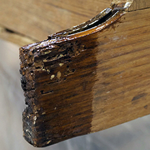 TotalBoat Penetrating Epoxy Resin Used to Restore Damaged Wood on Boat