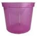 Orchid Pot - 6 inch Slotted Clear Orchid Pots - 3 Pack (Crystal Clear)