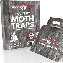 pantry moth traps