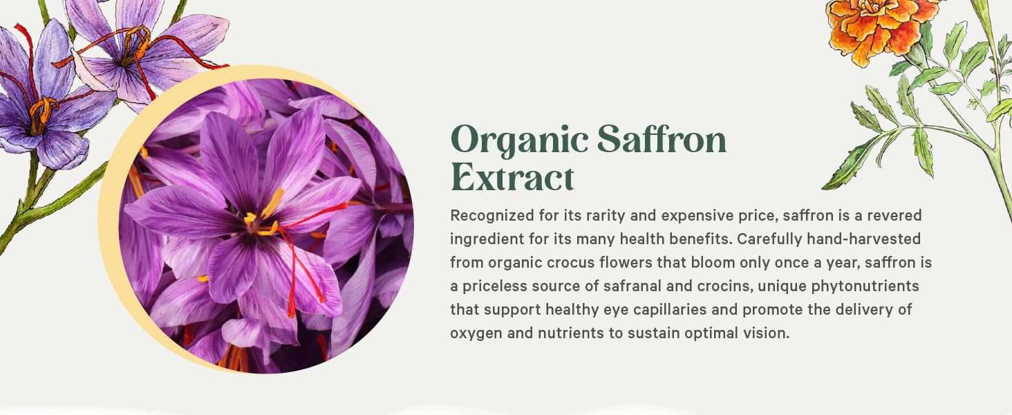 Saffron is a revered ingredient for its many health benefits