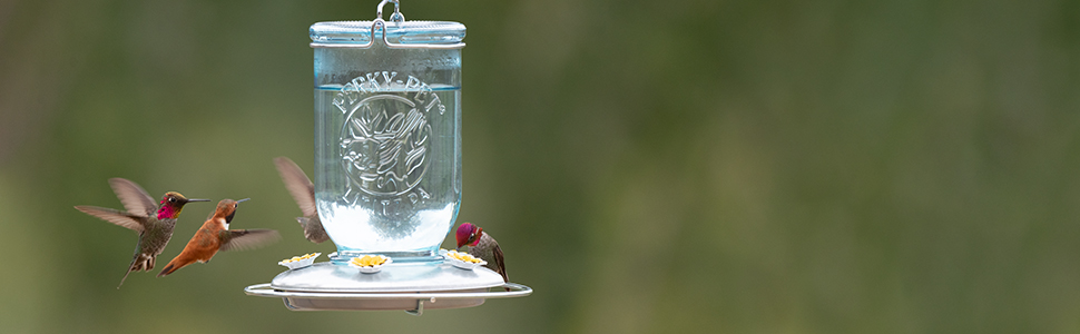 Perky-Pet Mason Jar Glass Hummingbird Feeder features a charming, vintage design