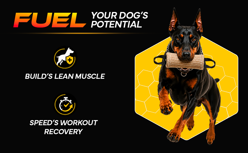 Canine supplement with egg protein y liver para perros de trabajo y breeding