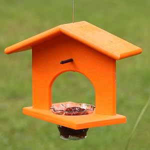 oriole jelly feeder wiht pegs for orange halves