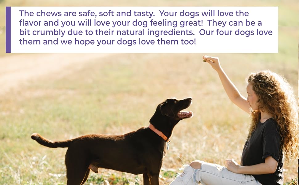 glucosamine dogs hip joint supplement chondroitin arthritis pain hemp oil pain relief joint support