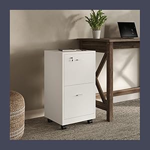 Image of filing cabinet in a home office.