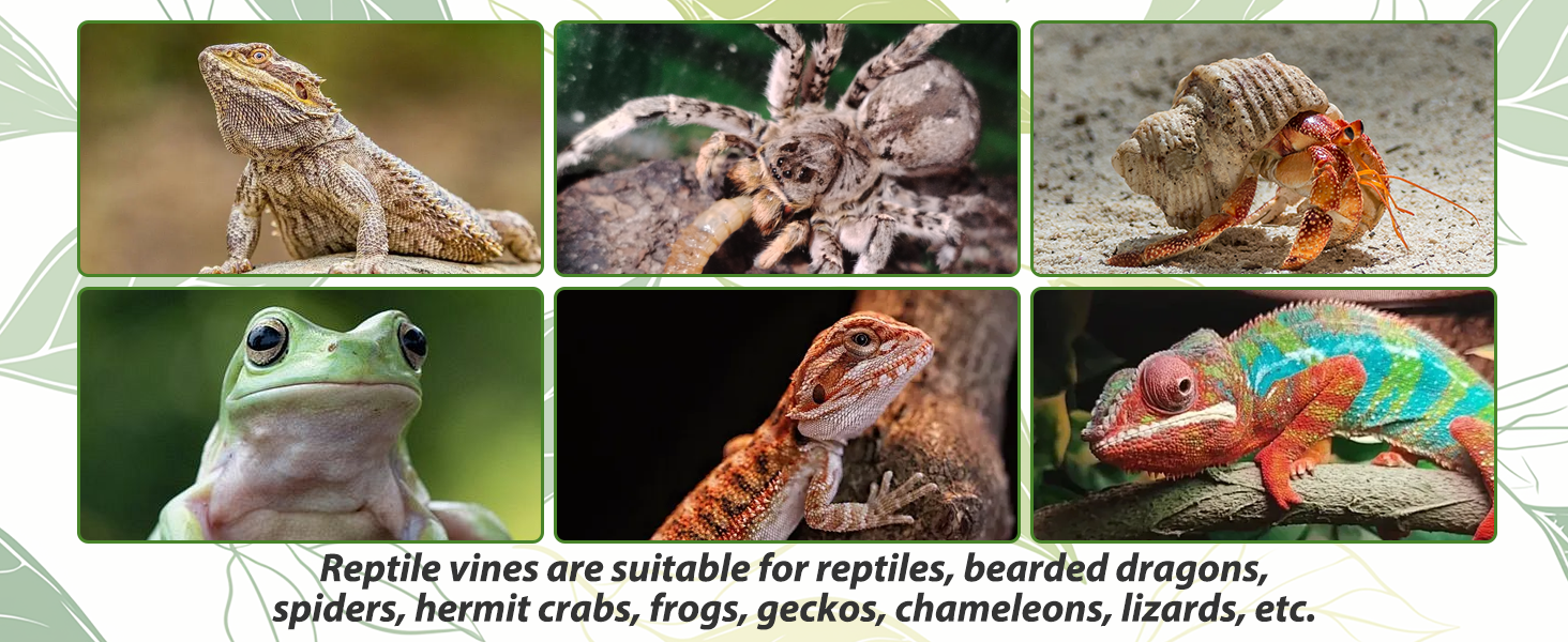 plastic reptile plants