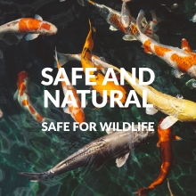Safe and natural, safe for wildline