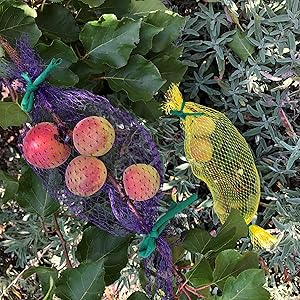 biostretch supporting netting and plants with stretching garden twine supports