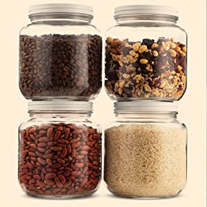 dry food storage container