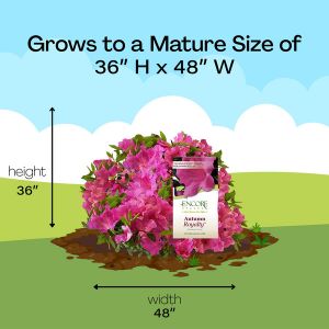 Mature Size