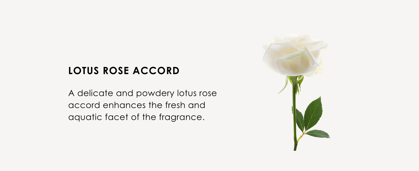 Lotus Rose Accord