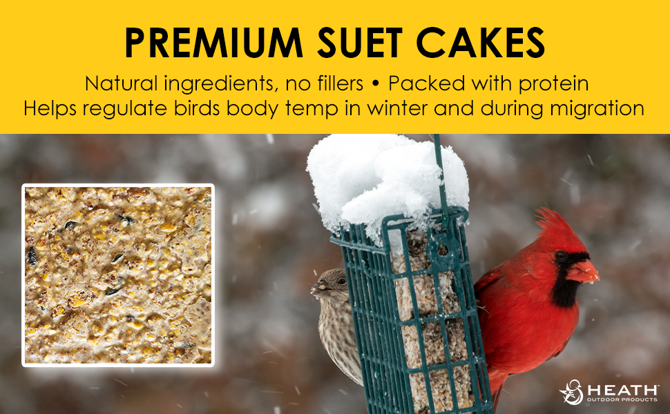 bird suet, heath suet cakes, year-round suet cakes, bird feeding, no melt cakes