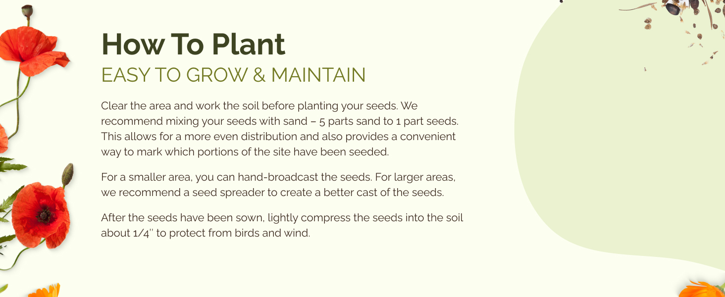 flowers for the yard, mountain seed, seed yards, burpee