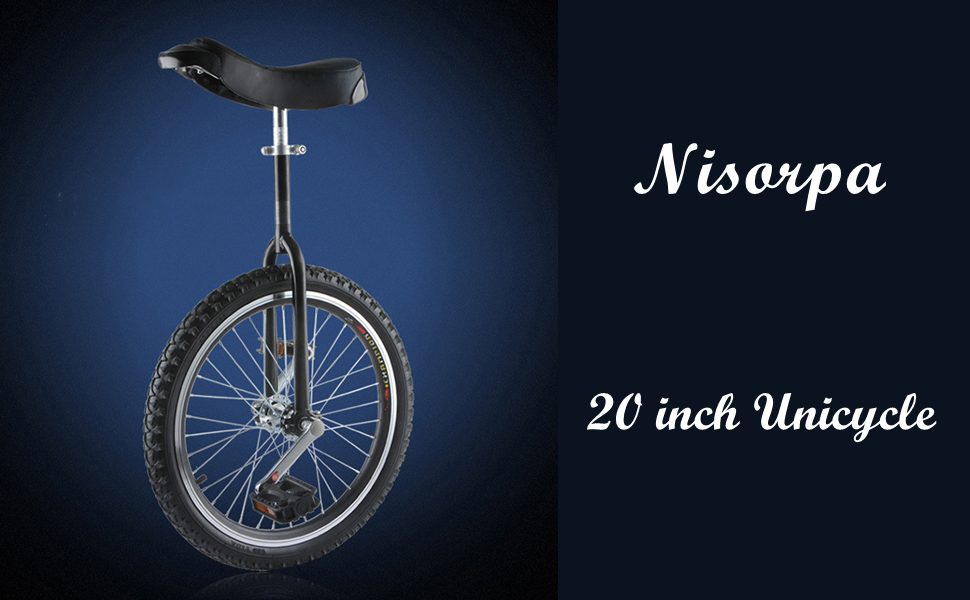 Unicycle