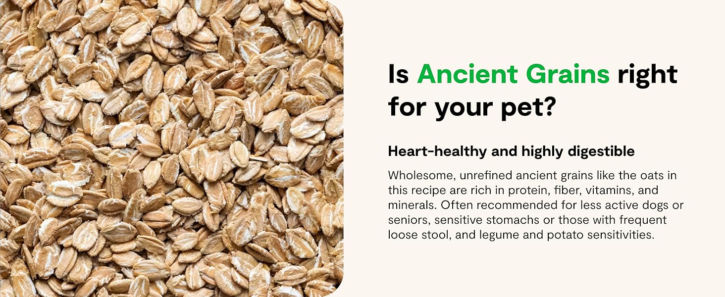 Heart Healthy HIghly Digestible Ancient Grains Dry Dog Food