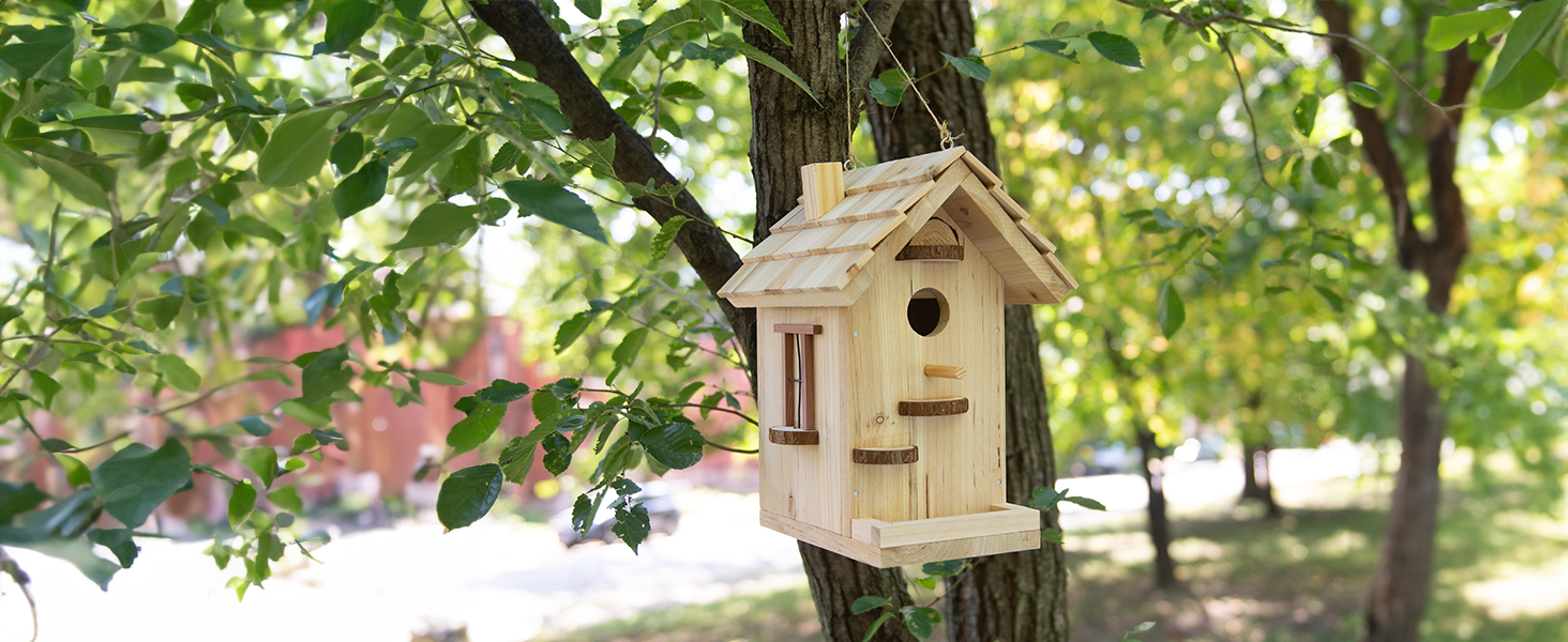 Build Together: Premium Birdhouse for All Ages