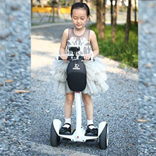 Hoverboard Handlebar